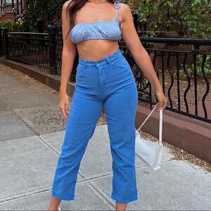 Everlane Moleskin Blue Pants